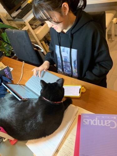 ニイノちゃんの自宅学習を指導するミー吉先生（ニノイちゃん提供）