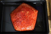 マンジュウヒトデ(提供:四国水族館)