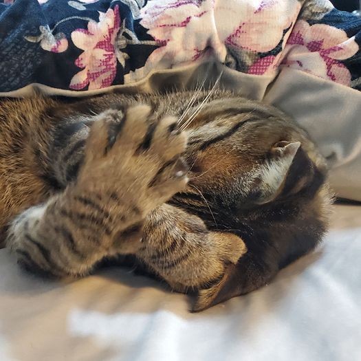 「わー、ママがやってもうた！深爪ＮＯー」