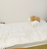 登れたわ！＝ポメプーふわちゃんさん（@Fuwancho319）提供