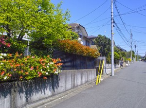 近隣トラブルをなくすため　国が検討する所有者不明土地のルール改定