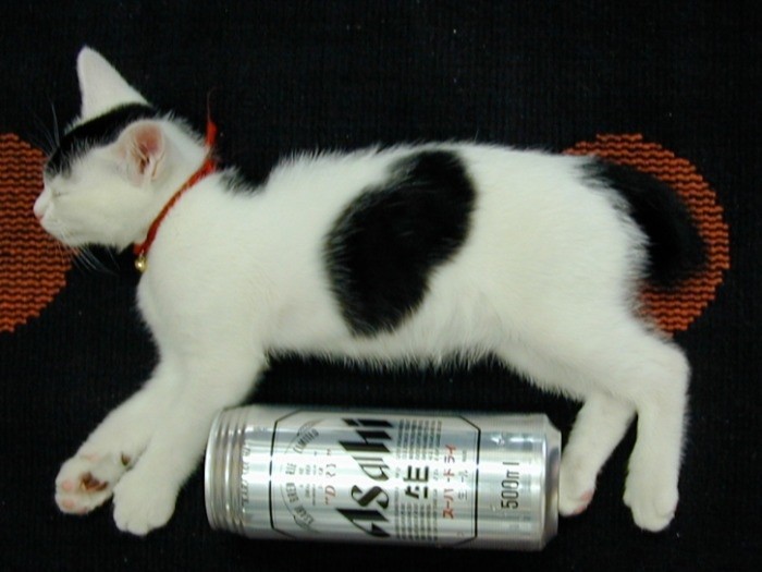 まだ小さかったぜ（提供写真）