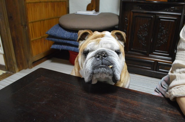 「ボクの取材ですよね？　何でも聞いてください」