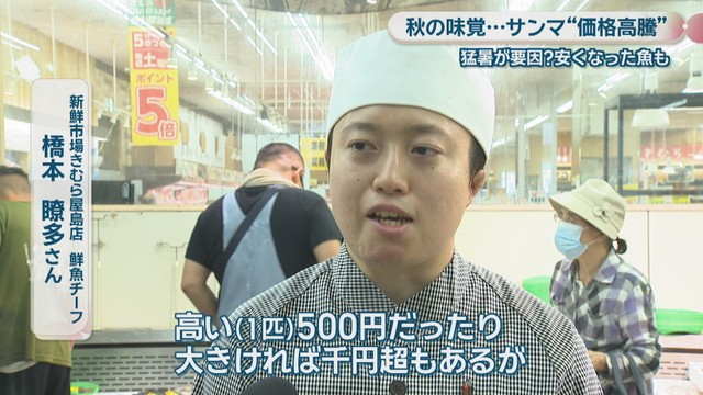 新鮮市場きむら屋島店 鮮魚チーフ／橋本瞭多さん