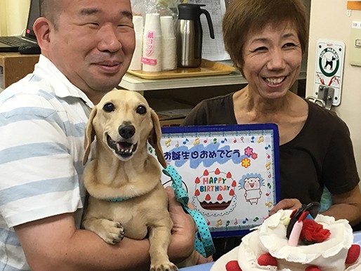 ペットの立場で考える 「良い動物病院」選びより、大切なこと