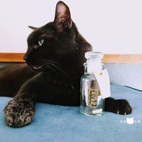 愛猫の黒猫のおひげも瓶に（猫社謹製提供）