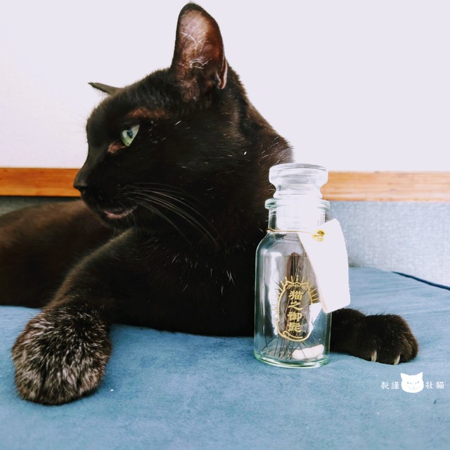 愛猫の黒猫のおひげも瓶に（猫社謹製提供）