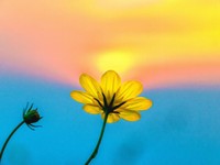 生きるとは勝つことより続けること。不完全な自分を許容していく