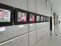 2026年1月実施のパネル展　提供：岡山県総合グラウンド
