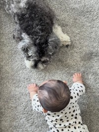 ダノンくんと赤ちゃん。少しずつ距離を縮めています（画像提供：ダノン・ザ・ドッグさん）