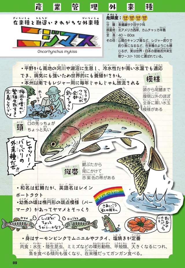 ニジマスが外来種って知ってましたか？（ウラケン・ボルボックスさん提供）