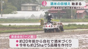 酒造りに使う酒米の田植え　宮城・大崎市の一ノ蔵
