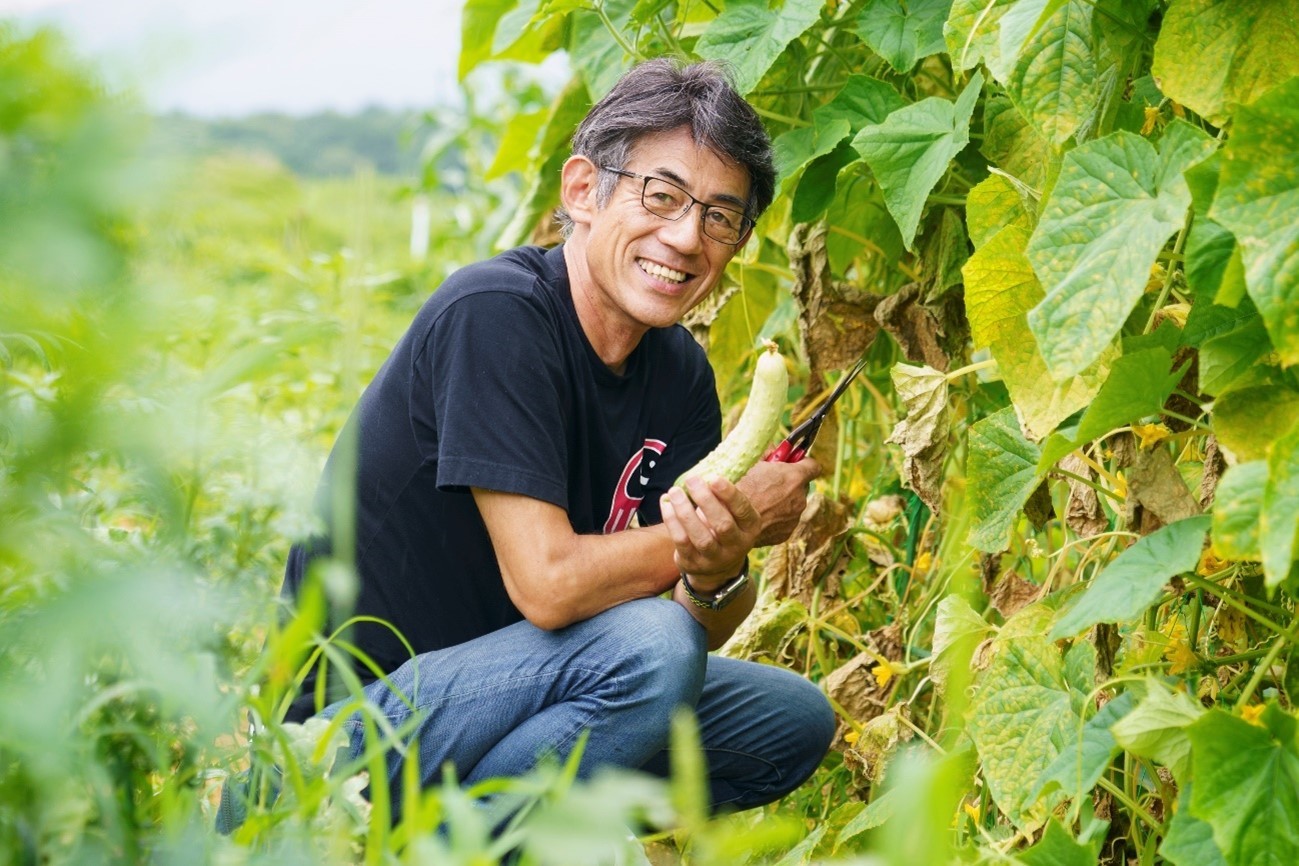 無農薬、化学肥料不使用の畑でキュウリを収穫する高橋さん