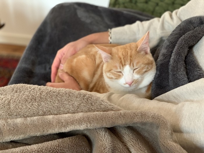 「大好きだよ」と言うと、「ナ…」と返してくれる小筆（ゆりさん提供）

