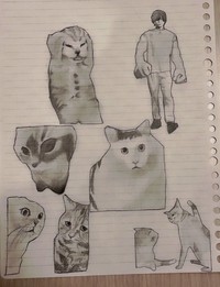 猫ミームも描いてみた＝あぱる。とさん（@__aprt）提供
