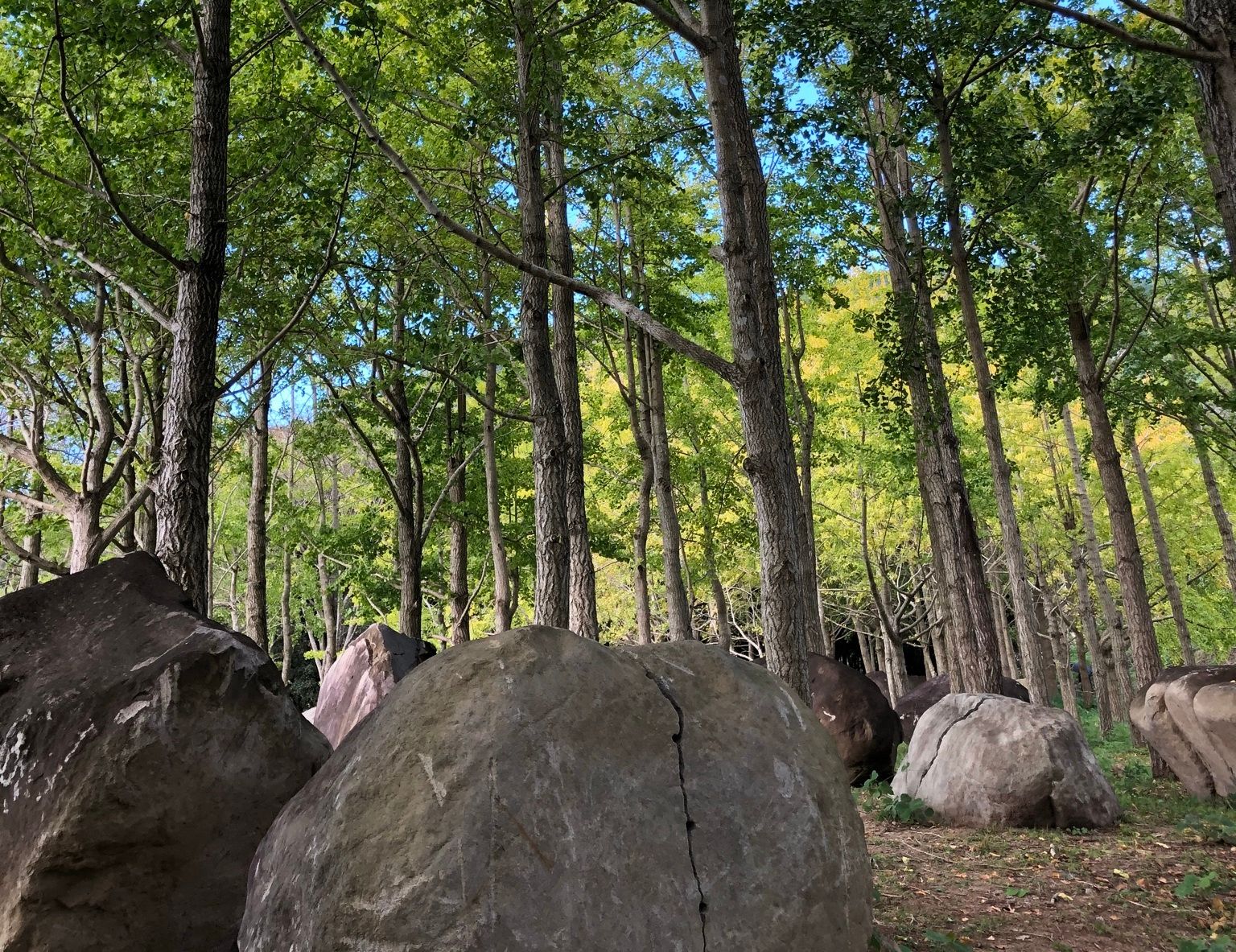 おいしくて癒やされる！“アートの町”に新スポット誕生 | KAB ONLINE