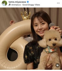 宮澤智アナのインスタグラム＠tomo.miyazawaより