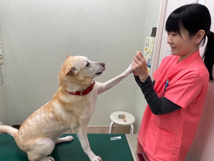 さくらとの息もぴったり（加藤さん提供）