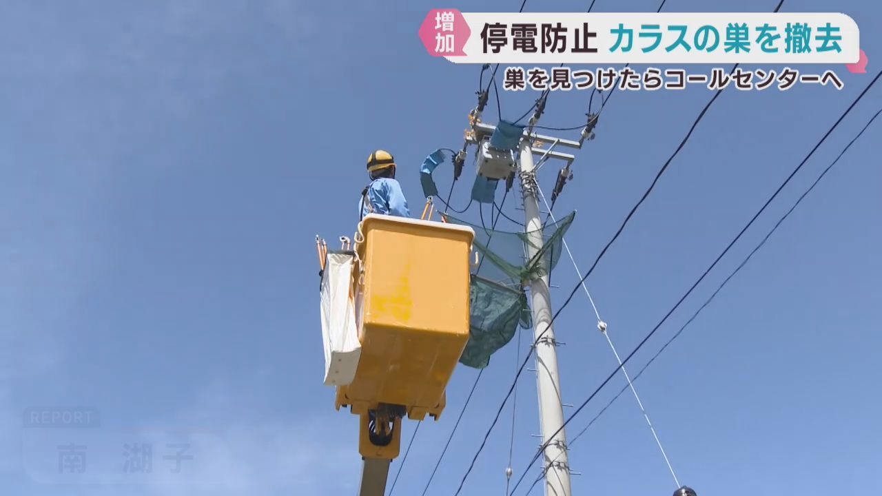 停電の原因　電柱のカラスの巣を撤去　東北電力ネットワーク