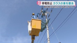 停電の原因　電柱のカラスの巣を撤去　東北電力ネットワーク