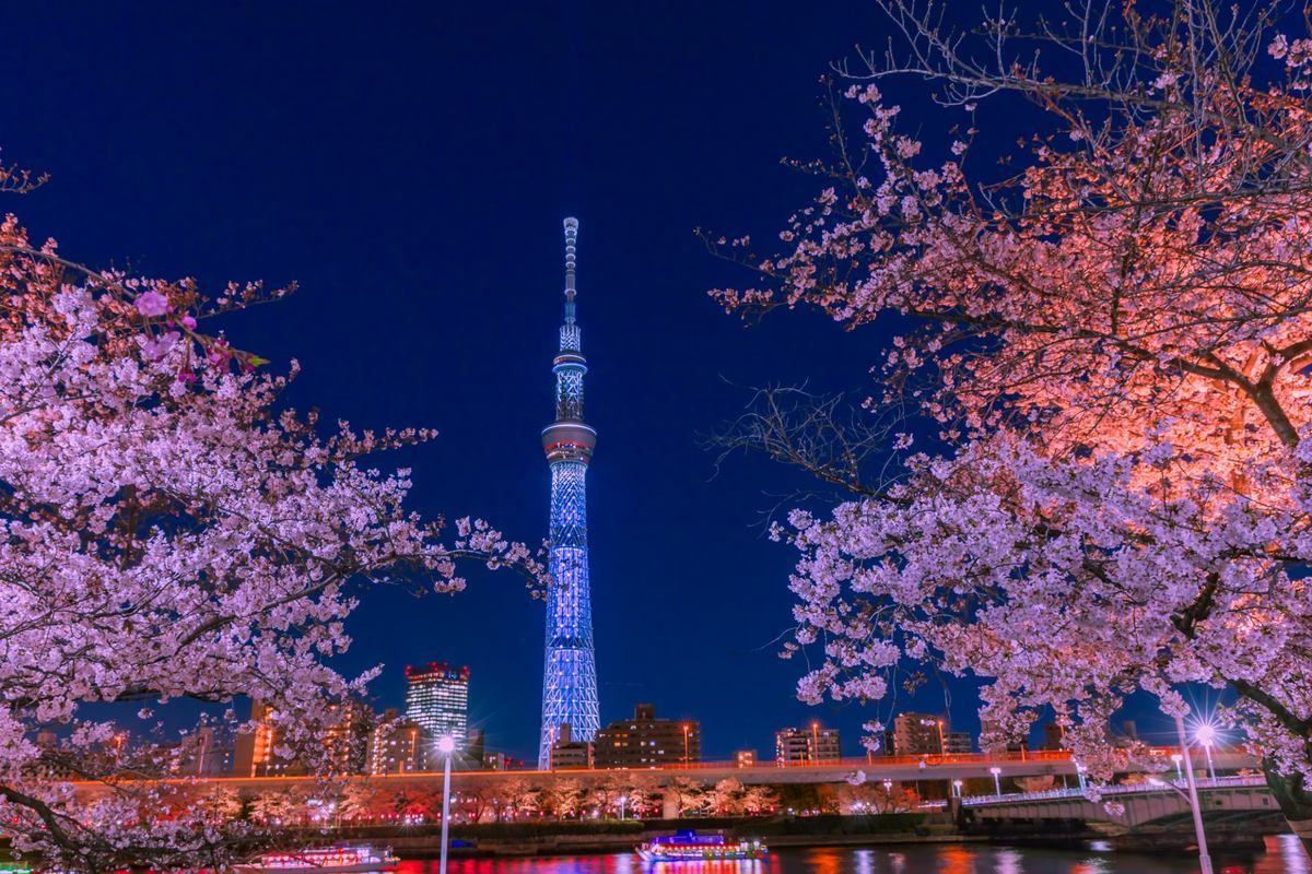 【2026年版】東京の桜名所完全ガイド15選 定番から穴場まで見どころ・アクセスを徹底解説 | 朝日新聞デジタルマガジン＆[and]