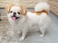 満面の笑みを浮かべるほのちゃん（画像提供：ほのさん）