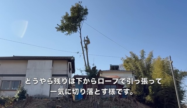どうやら残りは下からロープで引っ張って一気に切り落とす様です／CAT HOUSE DIYさん（@cathousediy）提供