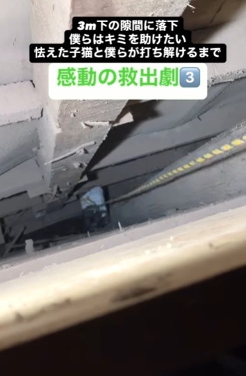 3メートル下の隙間に落ちてしまった子猫の救出劇が話題に（佐々木 幸一さん提供、Instagramよりキャプチャ撮影）