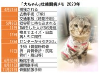 交通事故に遭った大ちゃん、4度の手術を受けた