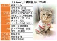 交通事故に遭った大ちゃん、4度の手術を受けた