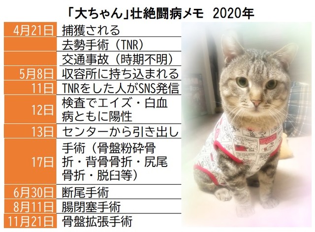 交通事故に遭った大ちゃん、4度の手術を受けた