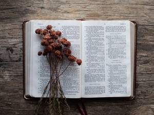 彼氏いない歴＝年齢。「恋愛は頑張るものじゃない」と思っていたら、21歳になった