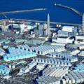 原発事故と政治　正義にかなう道を希求する　宮崎大学講師・松尾隆佑