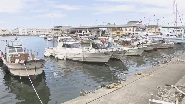 香川･多度津港 午前10時半ごろ