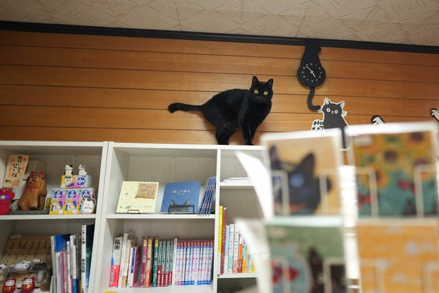 店内には「Book-R篠崎」という一棚店主の古本屋も併設されている