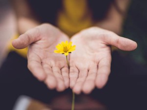 彼氏のいない生活が私のデフォルト。欲しいとは思っていない