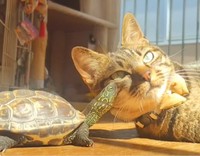 いつまでもお幸せに（飼い主さん提供）