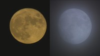 十五夜の月(左)　十三夜の月(右)　資料写真