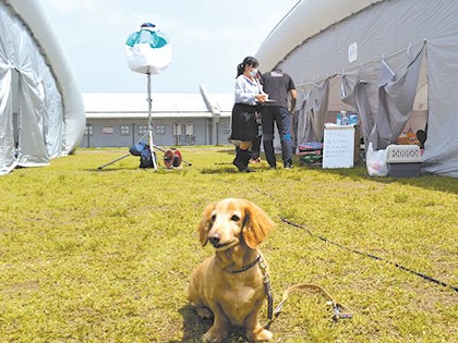 愛犬・愛猫は「連れて逃げる」が常識に　熊本地震で見えた課題