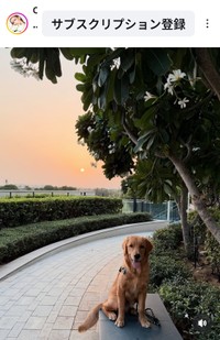 MALIA.(@official.malia)さんのインスタグラムより