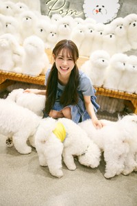 「鎌倉の犬カフェで出会ったビションフリーゼが可愛すぎてすごく癒されました」（伊藤百花） 撮影・熊木 優