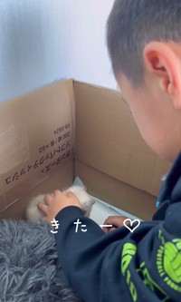 ナナちゃんを迎え入れた日の息子さん／江口 めぐみさん（am_nana77）提供