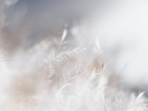 誰かと生きることをあきらめていた私の人生、彼にひっくり返された