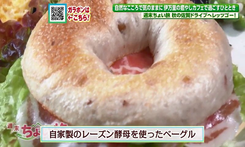 img/noimage