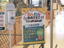 札幌トヨペット「わんわんDAYS第6弾」わんちゃんが大集合！
