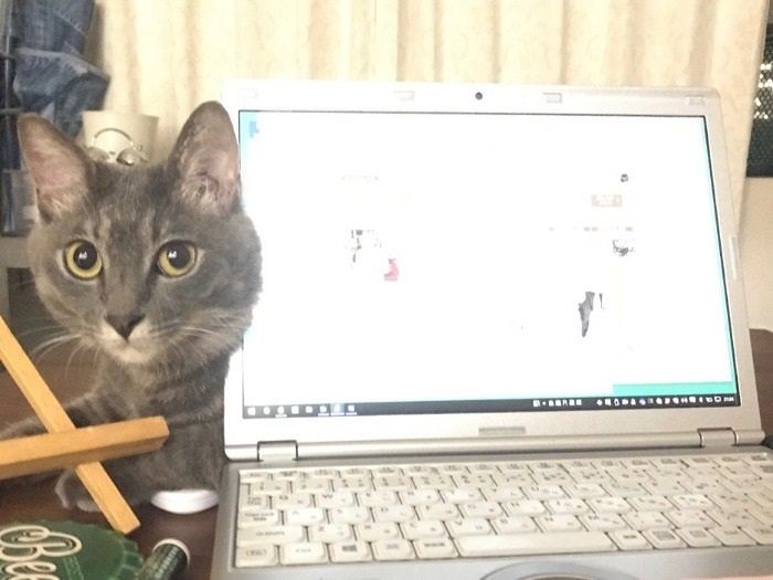 家にいるときは片時も離れないぜ