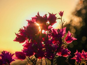 私の止まり木は、愛を注いで人にしてくれた、恋人がいる心地良い空間