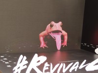 舌を出すオレンジヒキガエル　様々な演出が用意されている