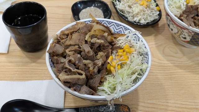 こちらがモンゴルの吉野家で提供されるマトン丼（田中英和さん提供）