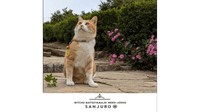 猫城主「さんじゅーろー」のミニハンカチ　3月16日（さんじゅーろーの日）から販売　岡山
